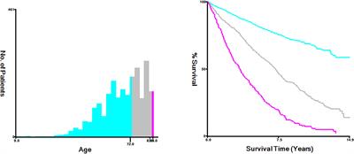 Prognostic risk factors and nomogram construction for sebaceous carcinoma: A population-based analysis